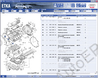 Audi VW Skoda Seat ETKA 7.1 spare parts catalogue contains the catalogue of parts and accessories for all models of the Audi, a Volkswagen, Skoda,  released for European, American, Brazilian, Chinese, Mexican