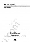 FUSO Canter (EURO 2) FE73P, FE84P, FE85P, Engines 4D34T4, 4D34T5, For Vietnam service manual for FUSO Canter FE73P, FE84P, FE85P (EURO 2), 4D34T4, 4D34T5 Engine, For Vietnam